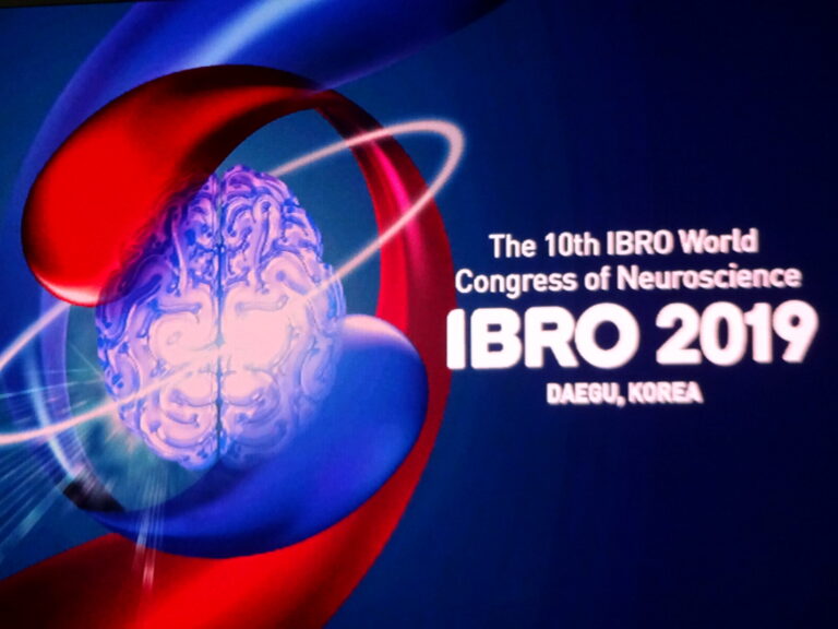 IBRO World Congress of Neuroscience 2019 in Daegu, South Korea