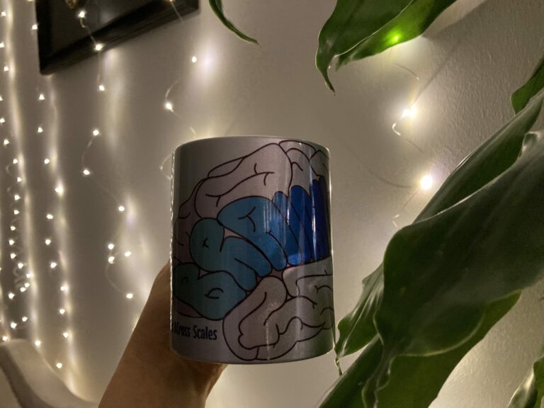 BRAINIACS Christmas Zoom