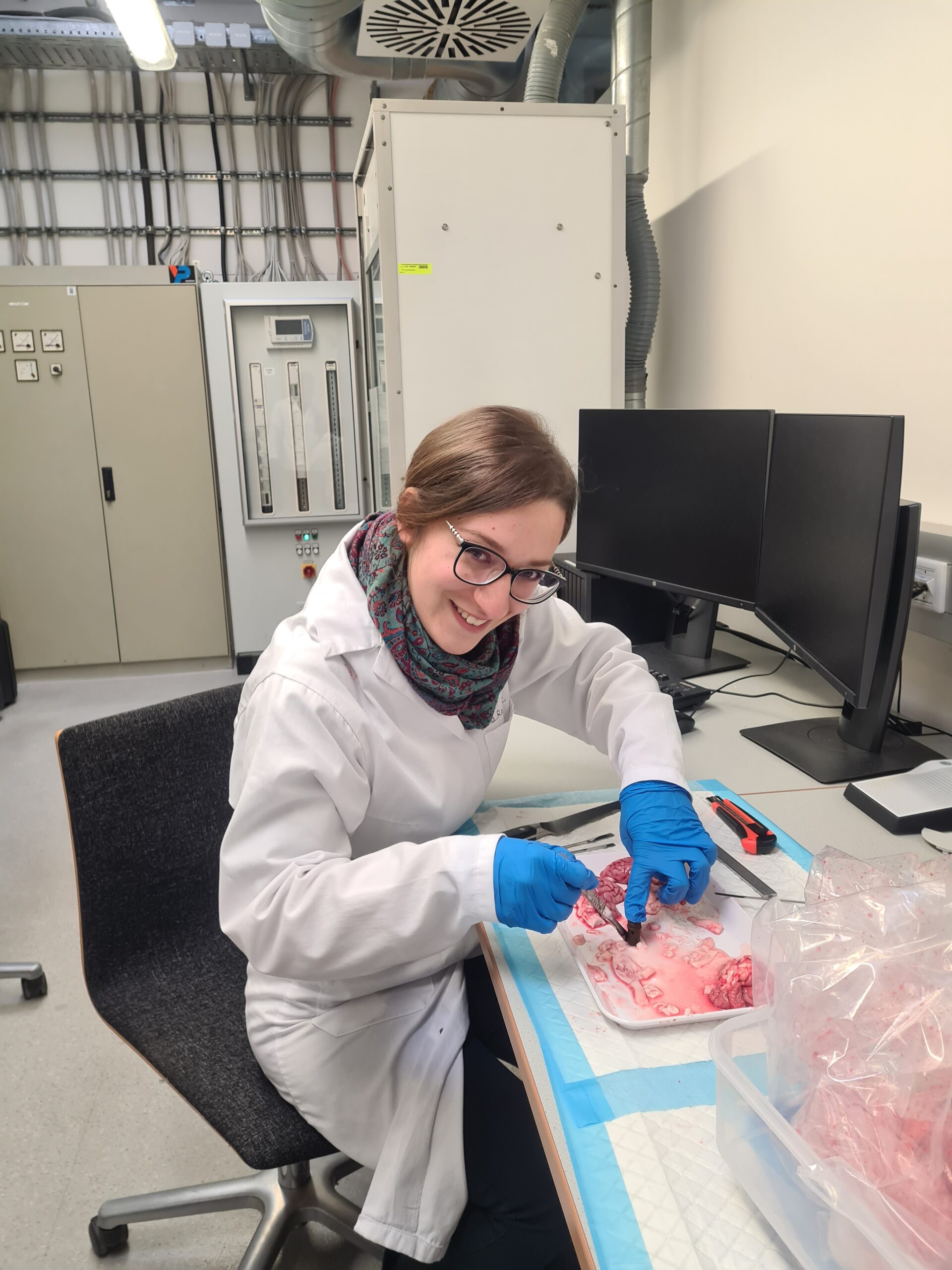 Nina Reiter during experiments with the spinal cord of pigs.