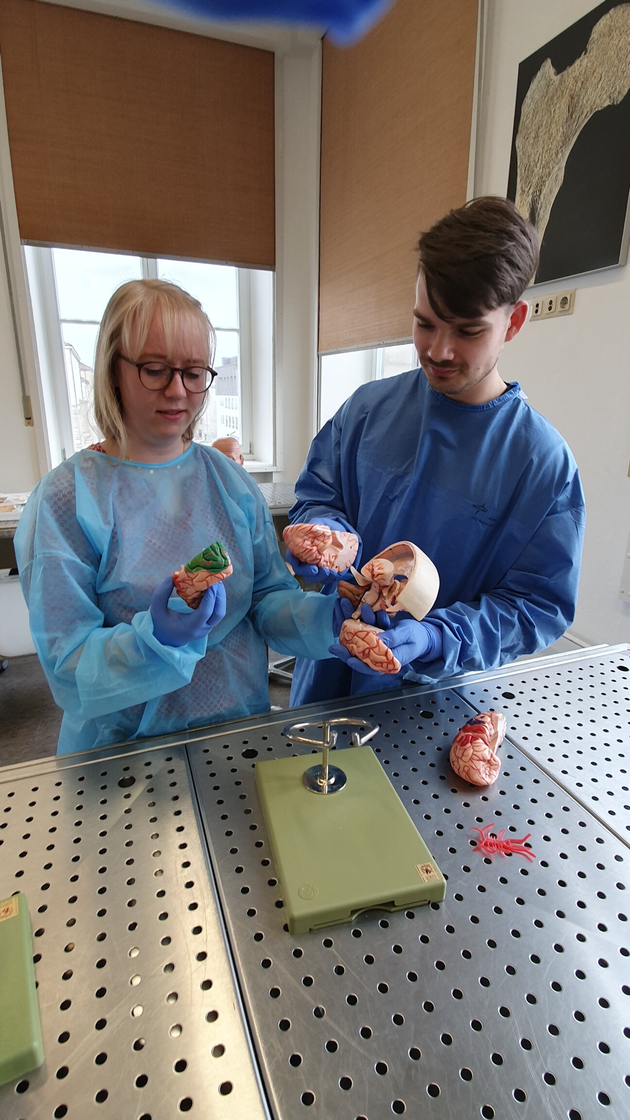 Impressions from the EBM harmonization workshop on neuroanatomy: Exploring anatomical brain models CRC 1540 Exploring Brain Mechanics