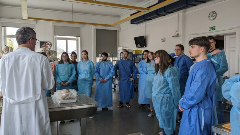 Experiencing Neuroanatomy Firsthand: Exploring the Wonders of the Human Brain