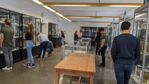 Towards entry "Doctoral Researchers’ Seminar hosted by Sophia Auer (A02)"