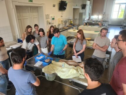 Towards entry "Harmonization Workshop led by Prof. Dr. Stefanie Kürten (EBM: B04)"