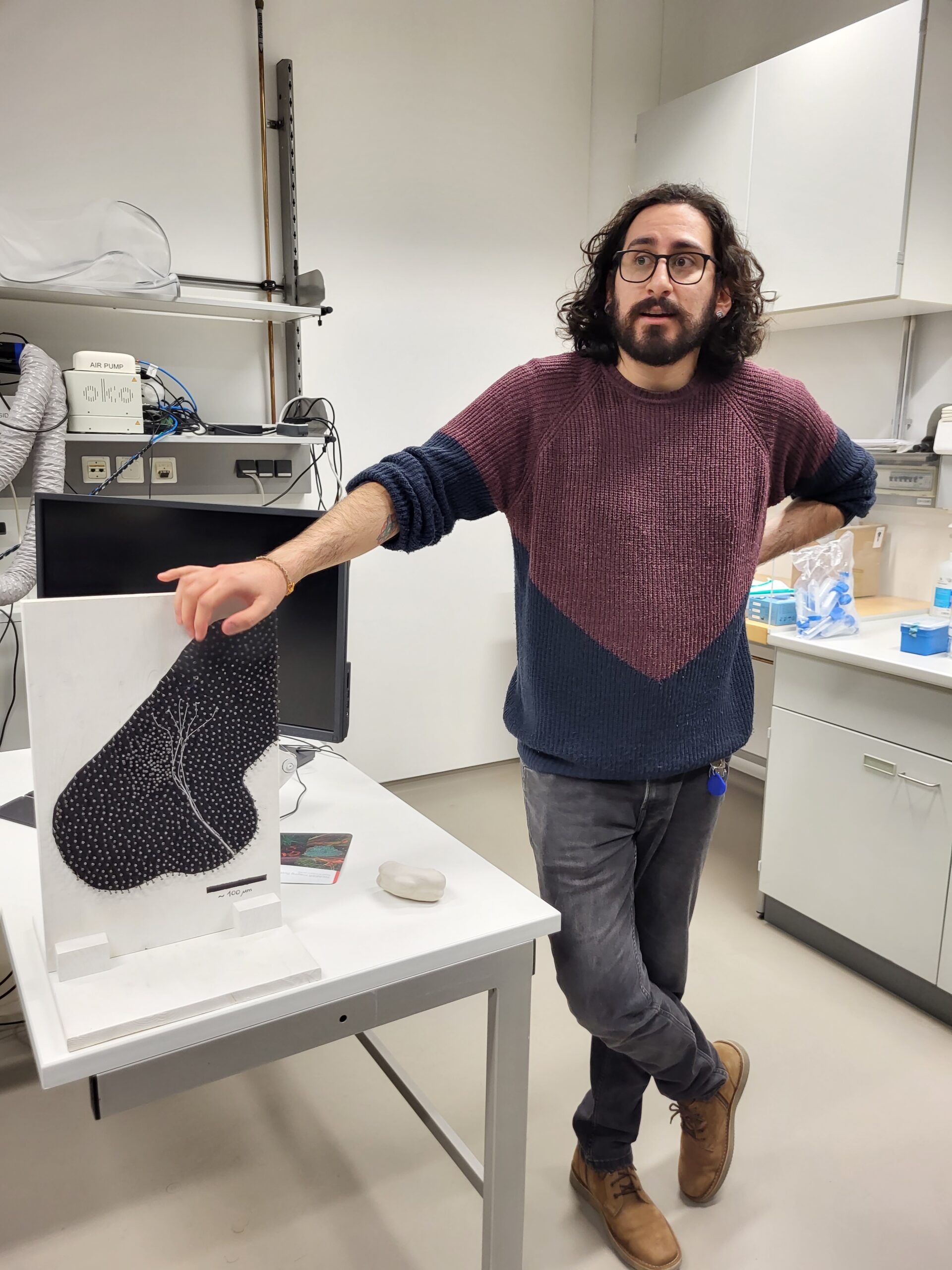 Impressions from the EBM harmonization workshop on Atomic Force Microscopy and Frog Brains (Image: A. Dakkouri-Baldauf)