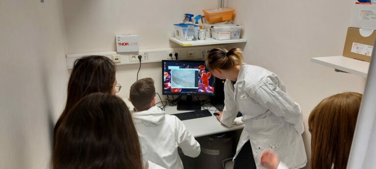 EBM’s 5th Harmonization Workshop: Early Neural Development