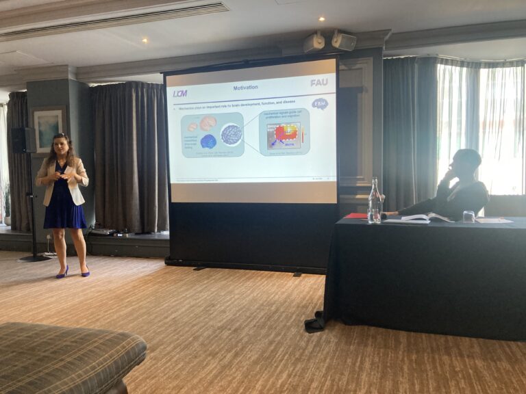 “The pulsing brain” meeting