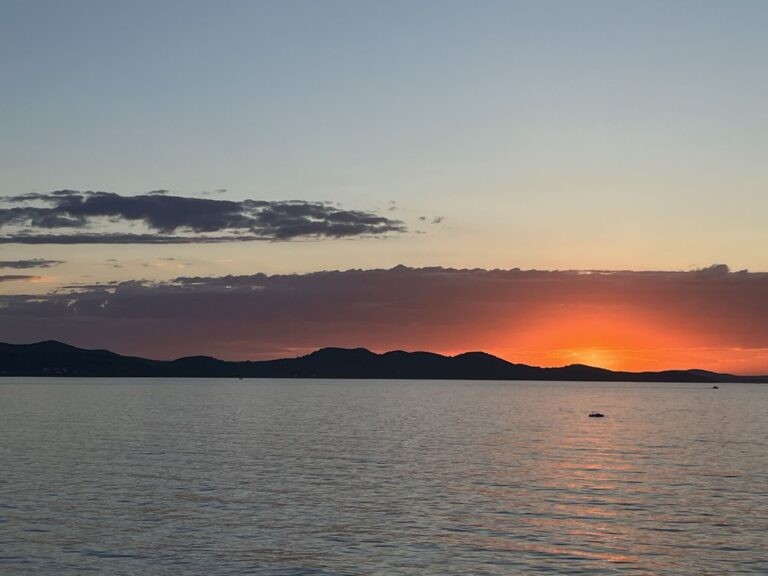 Evolution and Development of Nervous Systems conference 2024