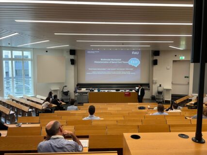 Towards entry "ESB 2025"