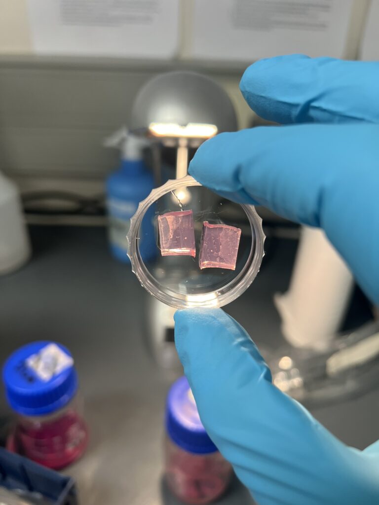 2nd Research Secondment at the University of Cape Town